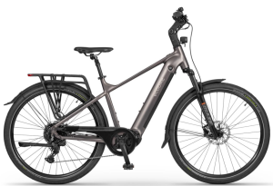 Ecobike MX 300 Golden Grey 25Ah*