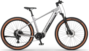 Ecobike SX300 25Ah"