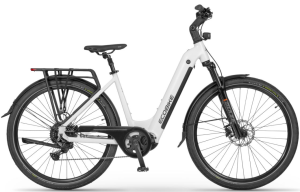 Ecobike LX300 25Ah"