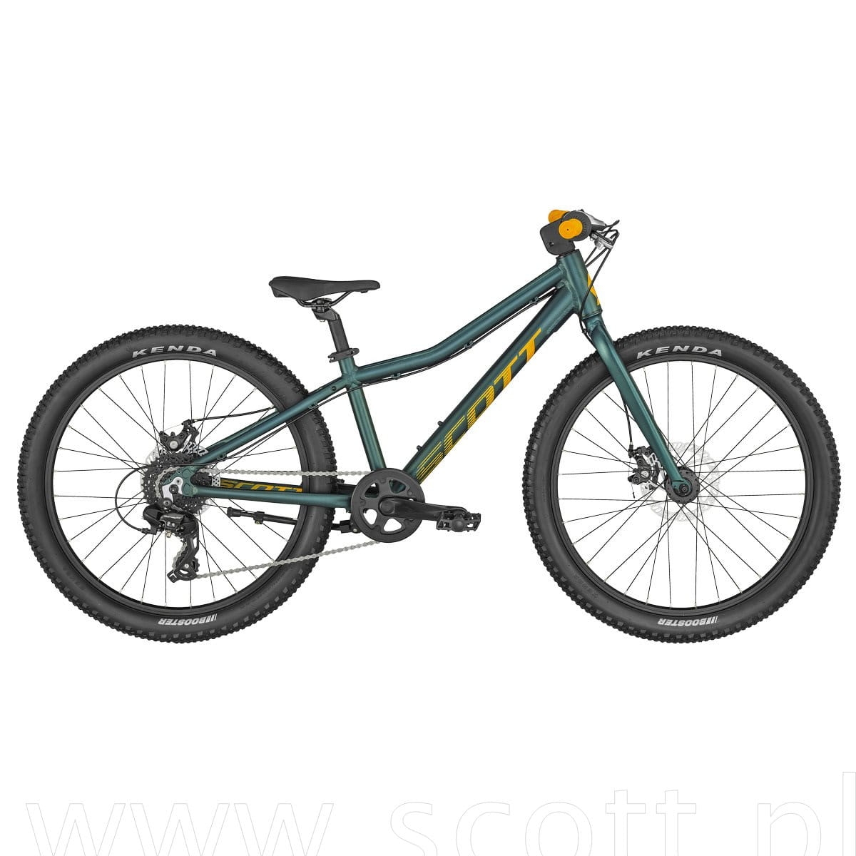 Scale 24 rigid.jpg