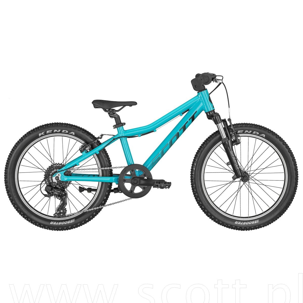 Scale 20 blue.jpg