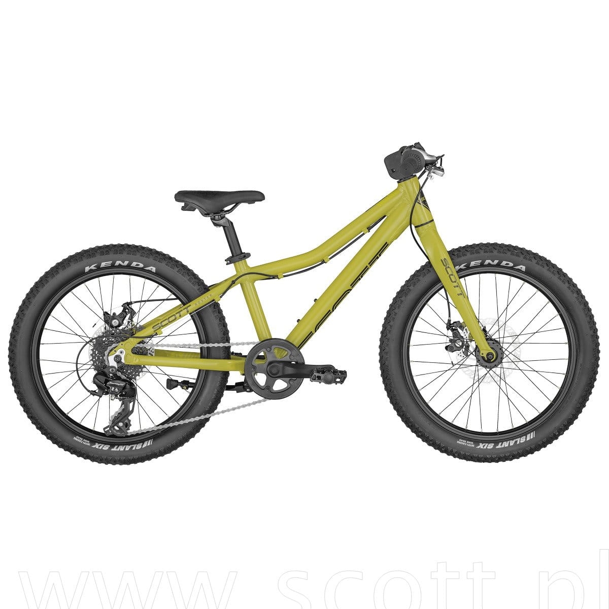 Roxter 20 green.jpg
